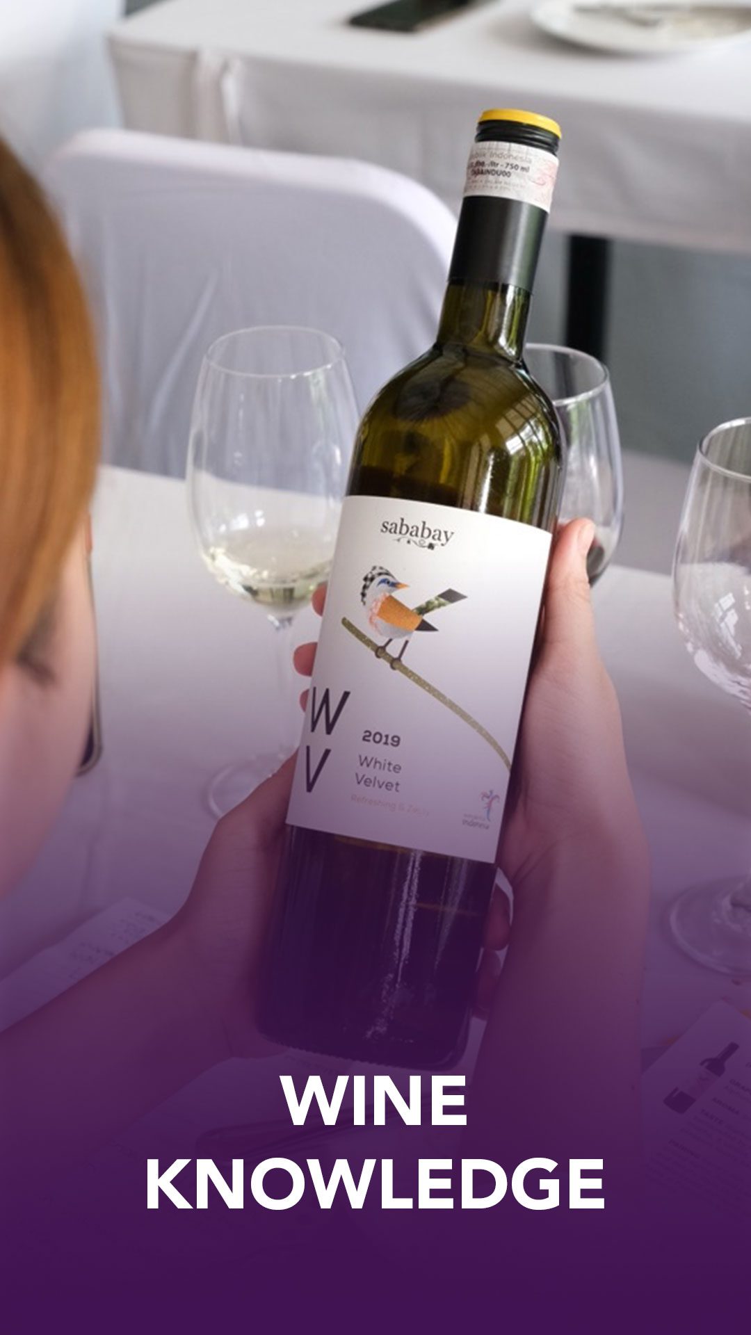 MPH-Wine-Knowledge1080-X-1920PX